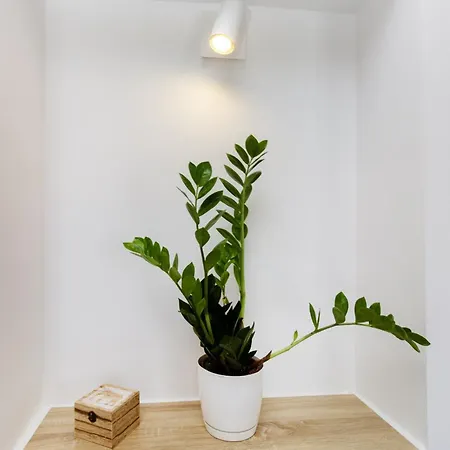 アパート Trogirski San