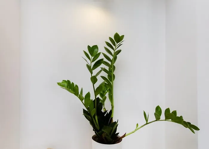 Apartamento Trogirski San